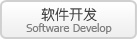 软件开发